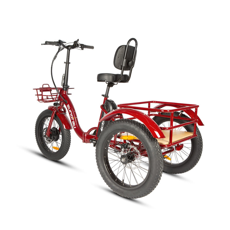 EUNORAU E-BIKE US NEW-TRIKE 2.0 electric trike with sturdy frame, large wheels, and comfortable seat for eco-friendly riding.