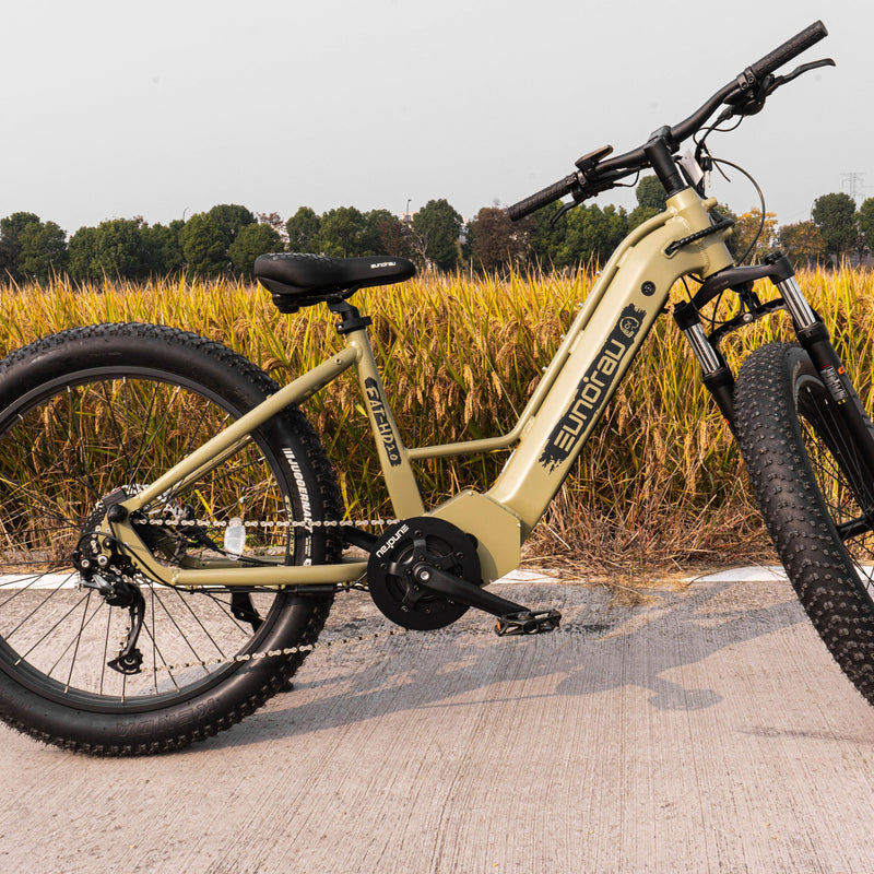 EUNORAU E-BIKE US FAT-HD 2.0/Hunter X7 electric bicycle with rugged fat tires and sleek frame, ready for outdoor riding.