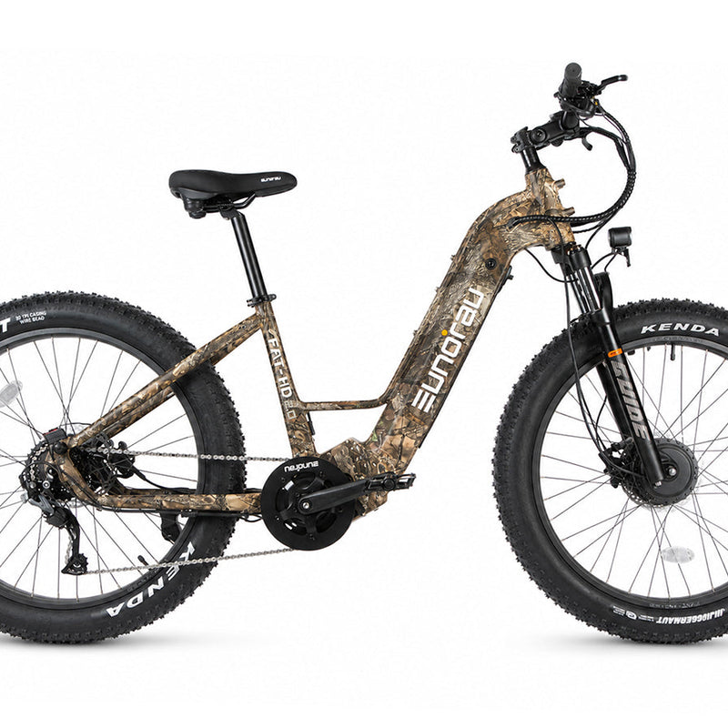 EUNORAU FAT-HD 2.0 electric fat tire bicycle with 16-inch wheels and sleek black frame, suitable for off-road riding.
