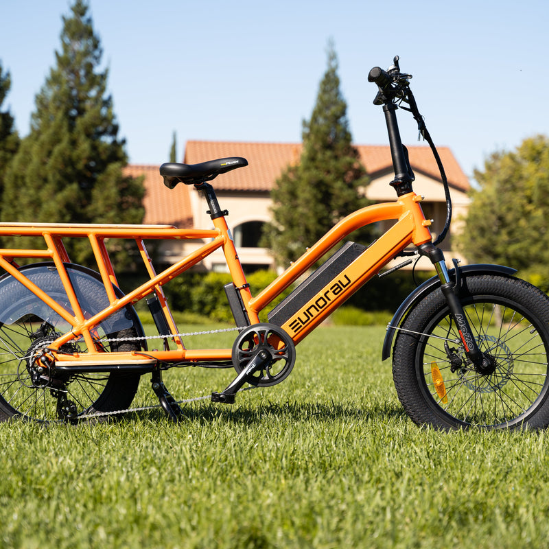 EUNORAU E-BIKE US G30-CARGO 2.0 electric bicycle with cargo rack and sturdy frame, designed for versatile transportation.
