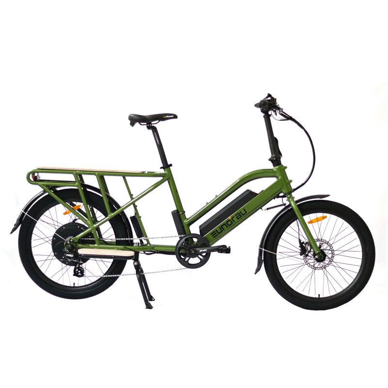 EUNORAU E-BIKE US MAX-CARGO 2.0 electric bicycle with green cargo frame and single child safety seat attachment.