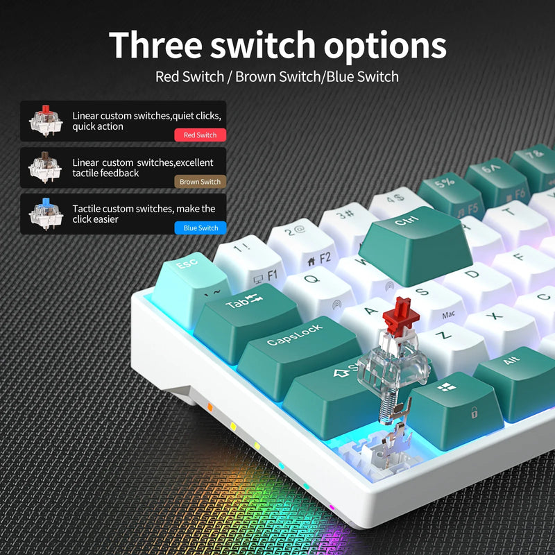 Tri-mode Mechanical Keyboard by Electronics Den with black keycaps and sleek design, showing the key layout and switches.