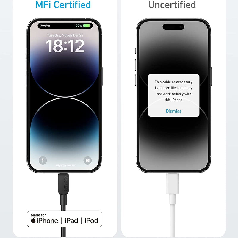 Anker 310 USB-C to Lightning Cable 6 ft, 2-pack, showing durable braided design and connectors for Apple device charging and syncing.
