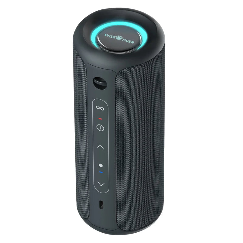Blue Electronics Den P3 portable Bluetooth speaker with compact design and built-in controls, ideal for wireless audio on the go.