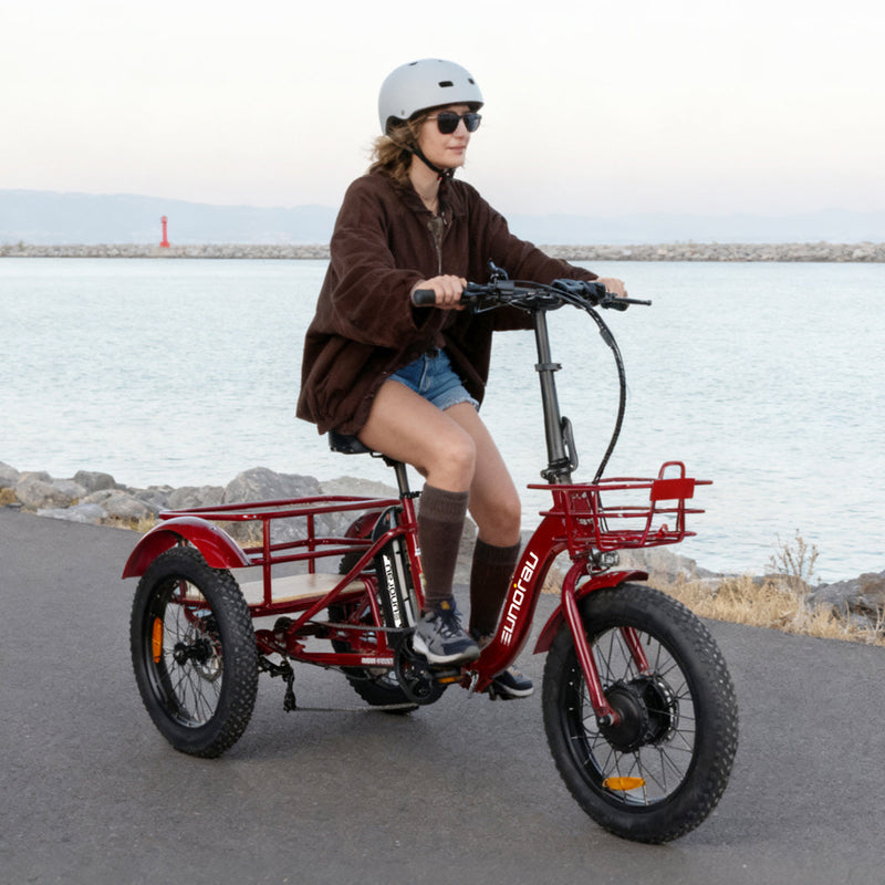 EUNORAU E-BIKE US NEW-TRIKE 2.0 electric trike with a sturdy frame and three wheels, ready for comfortable riding.